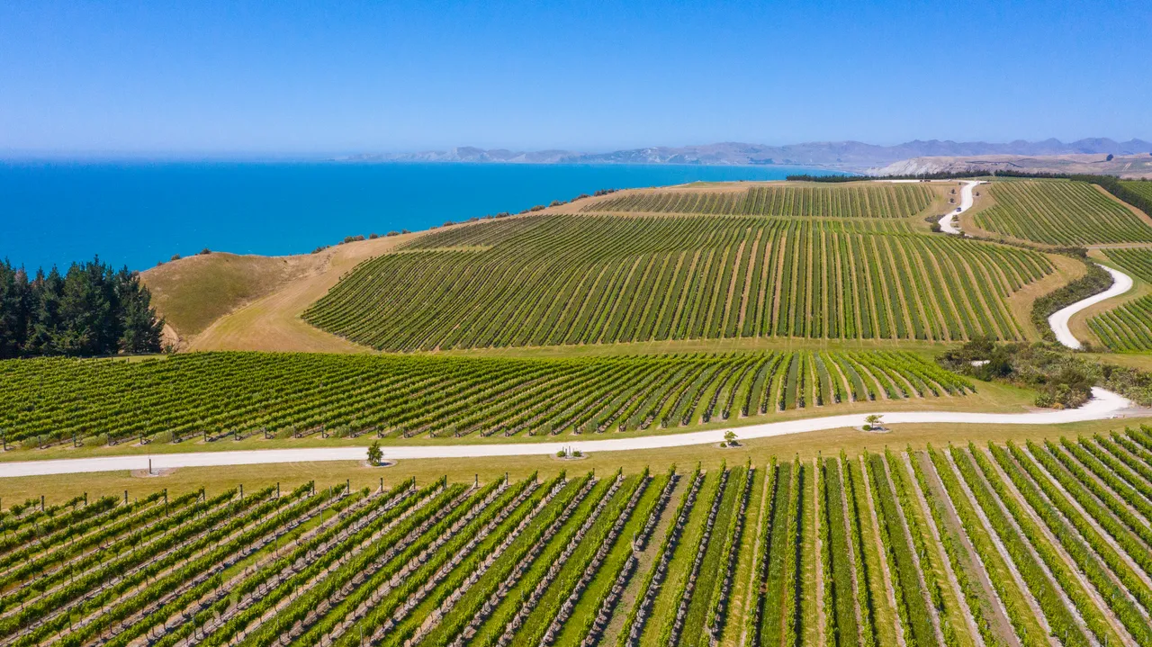 White Road Tour at Yealands Winery