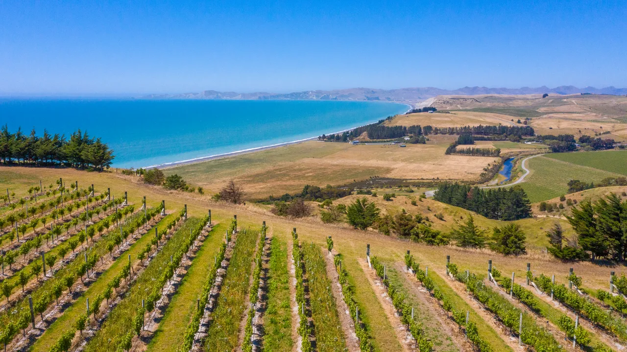 White Road Tour at Yealands Winery