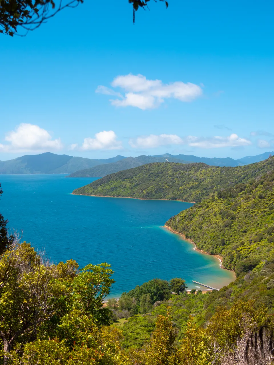 The Queen Charlotte Track