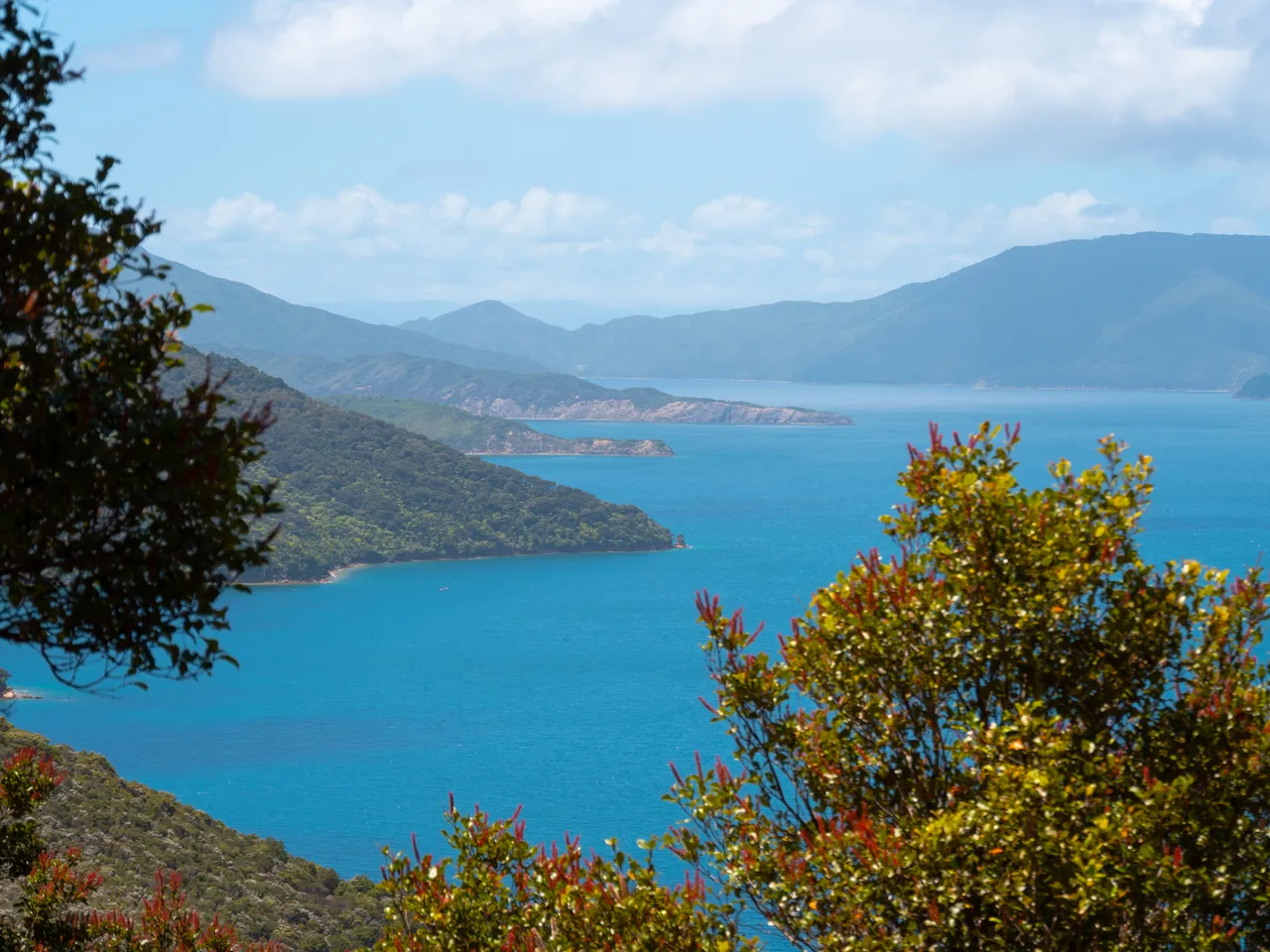 The Queen Charlotte Track