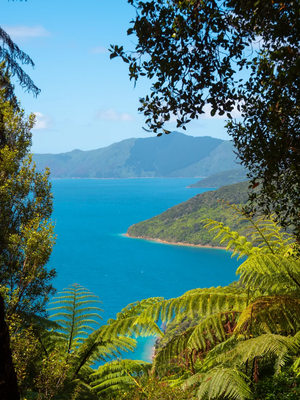 The Queen Charlotte Track