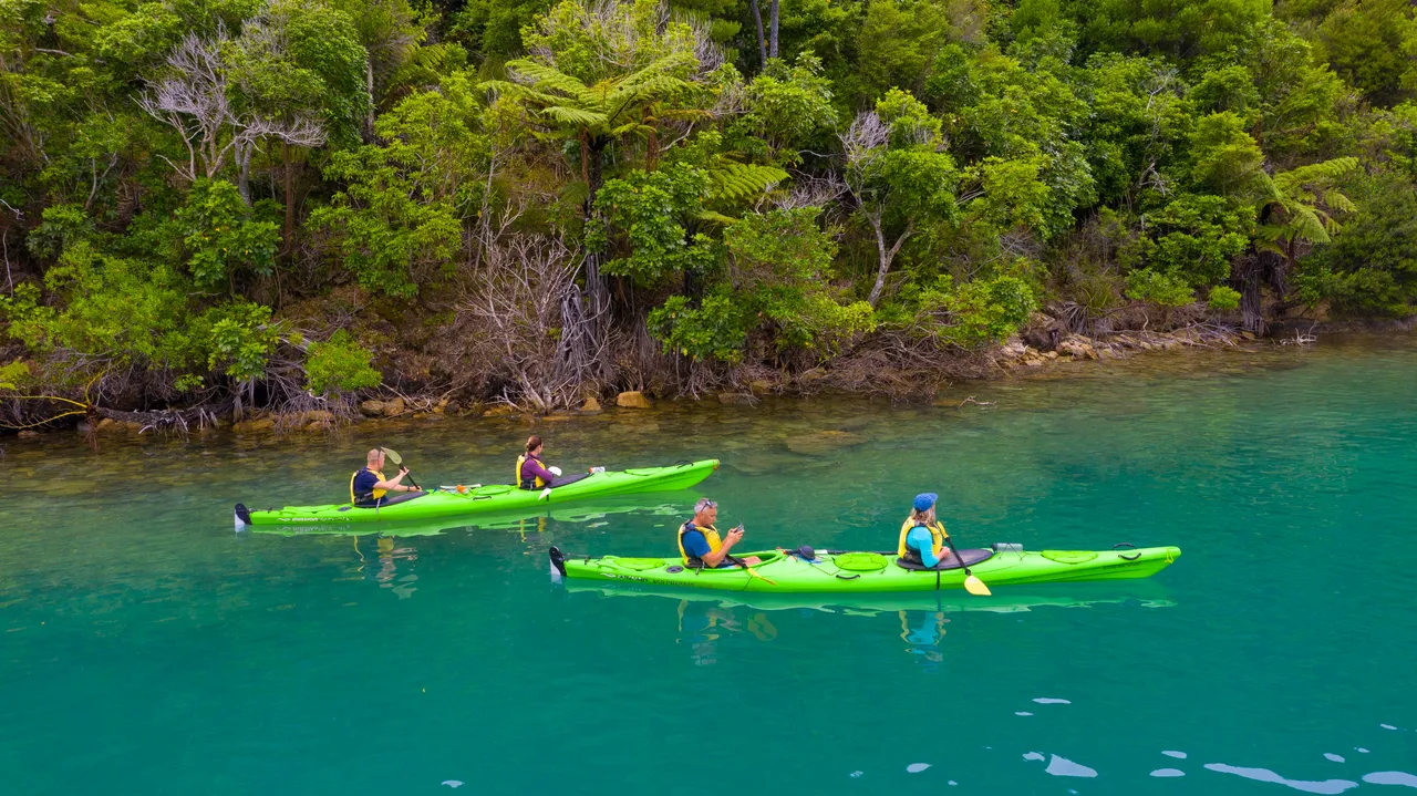 Kayaking the Marlborough Sounds