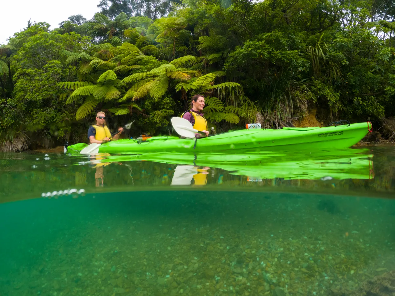 Kayaking the Marlborough Sounds