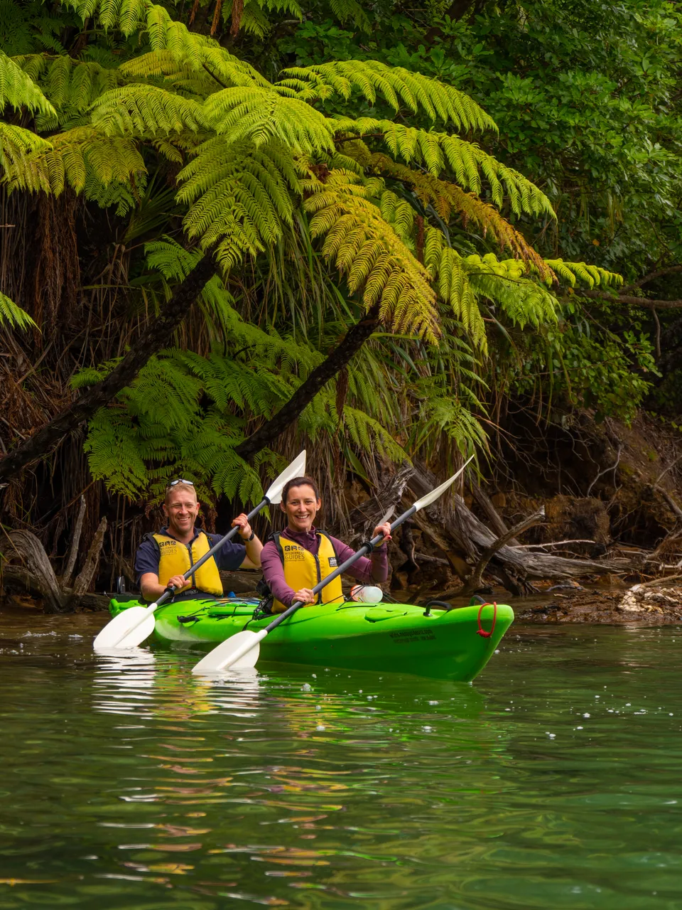 Kayaking the Marlborough Sounds
