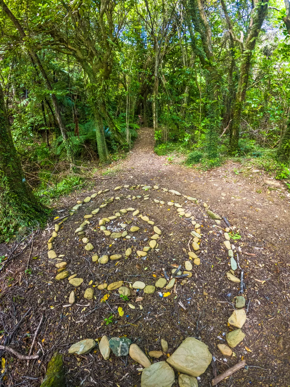 Queen Charlotte Track