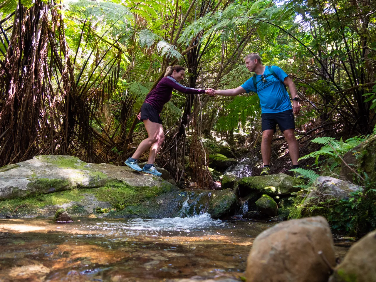 The Queen Charlotte Track