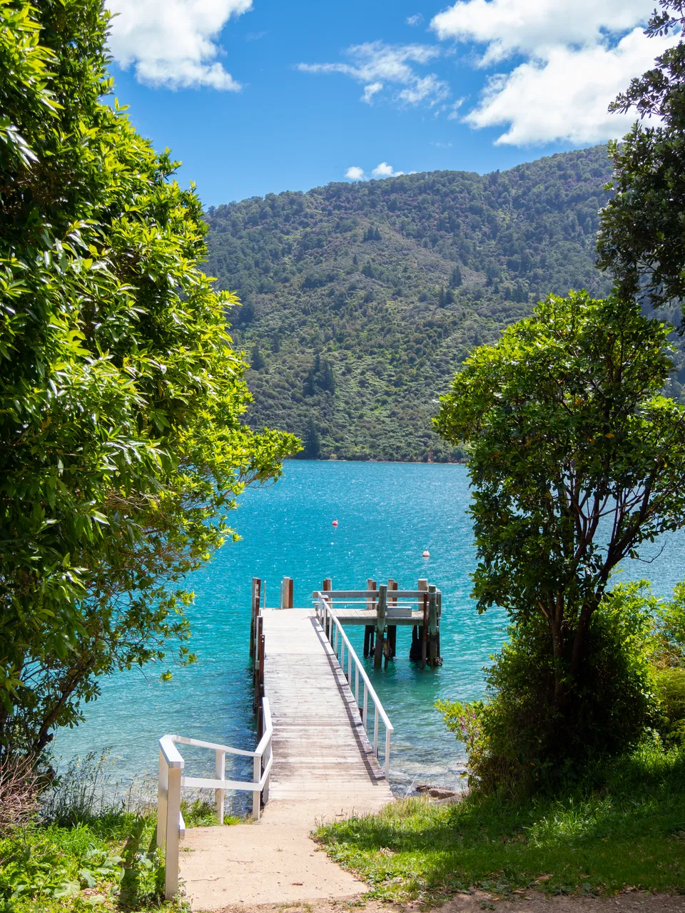 The Queen Charlotte Track