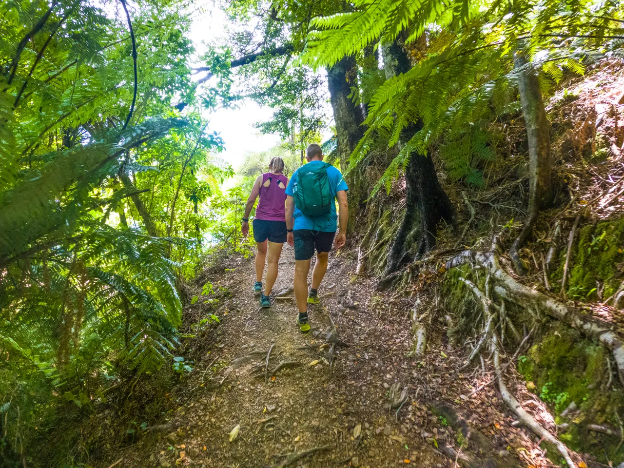 The Queen Charlotte Track