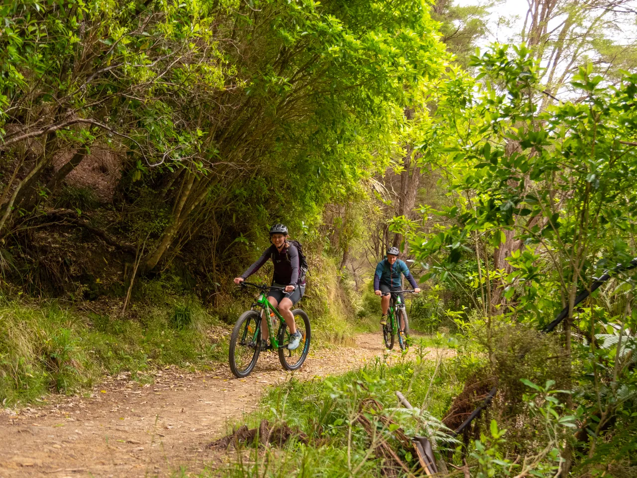 The Queen Charlotte Track