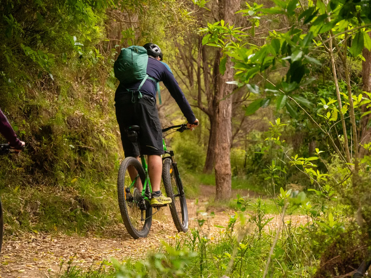 The Queen Charlotte Track