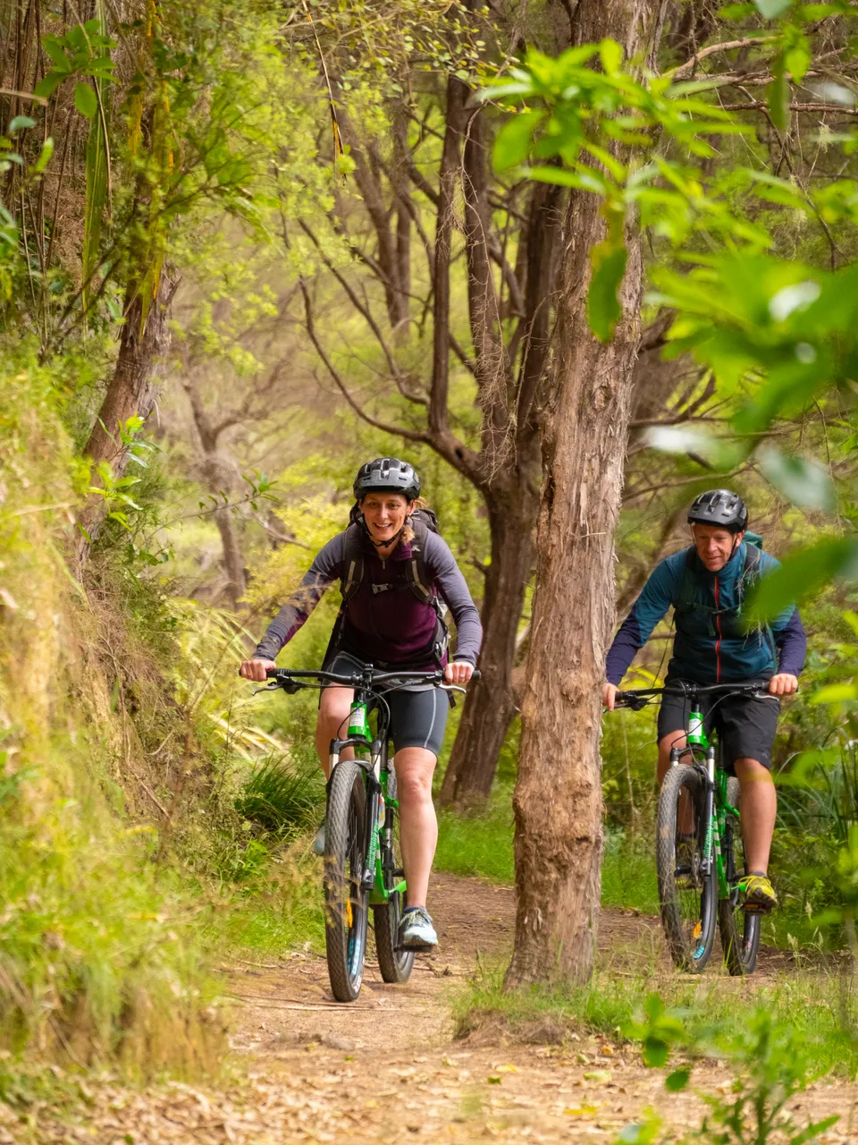 The Queen Charlotte Track
