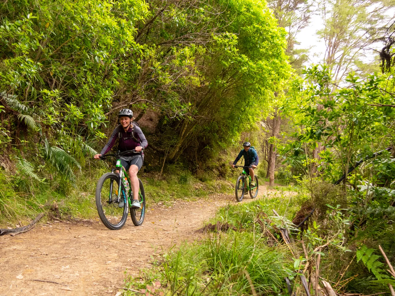 The Queen Charlotte Track