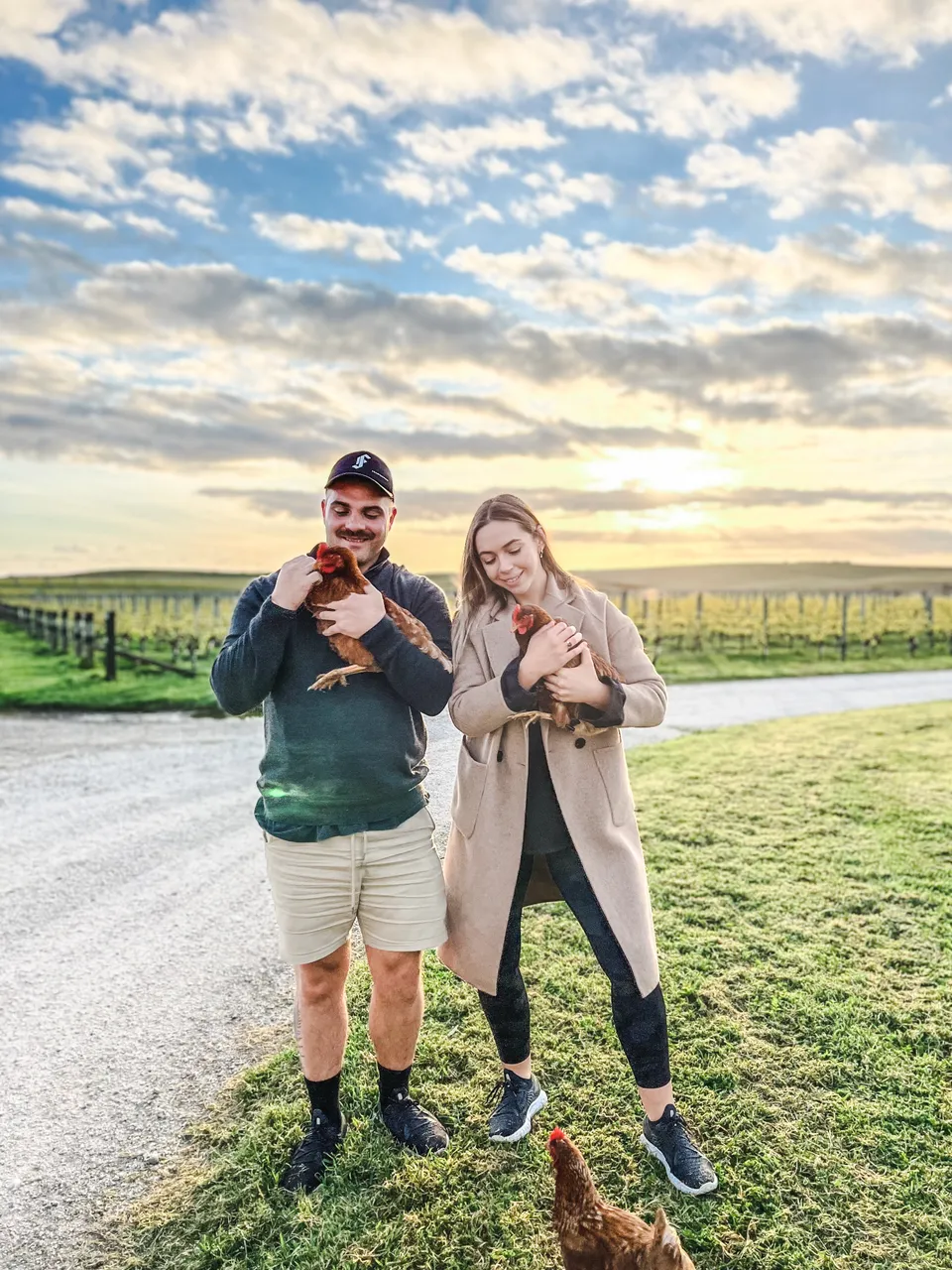 Yealands Estate Winery