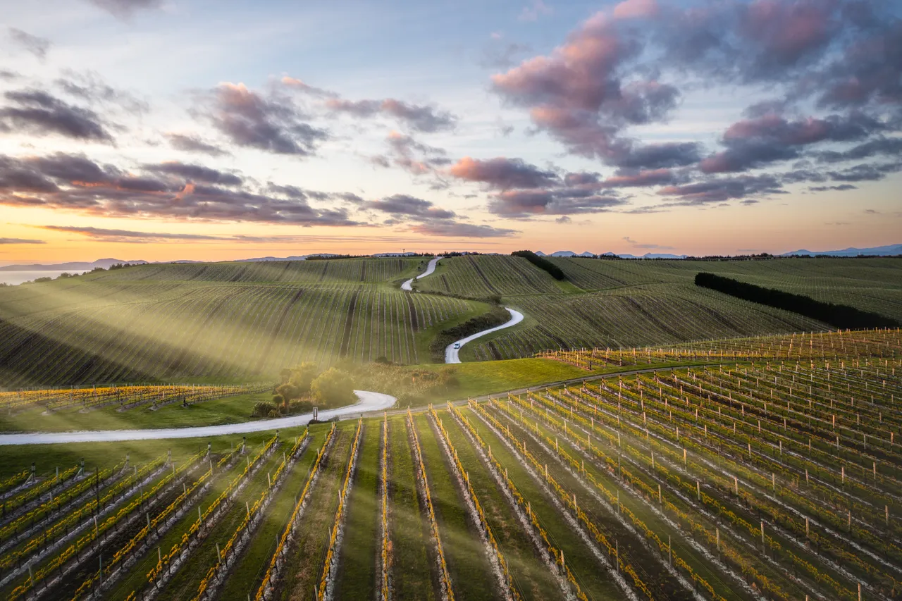 Yealands Estate Winery