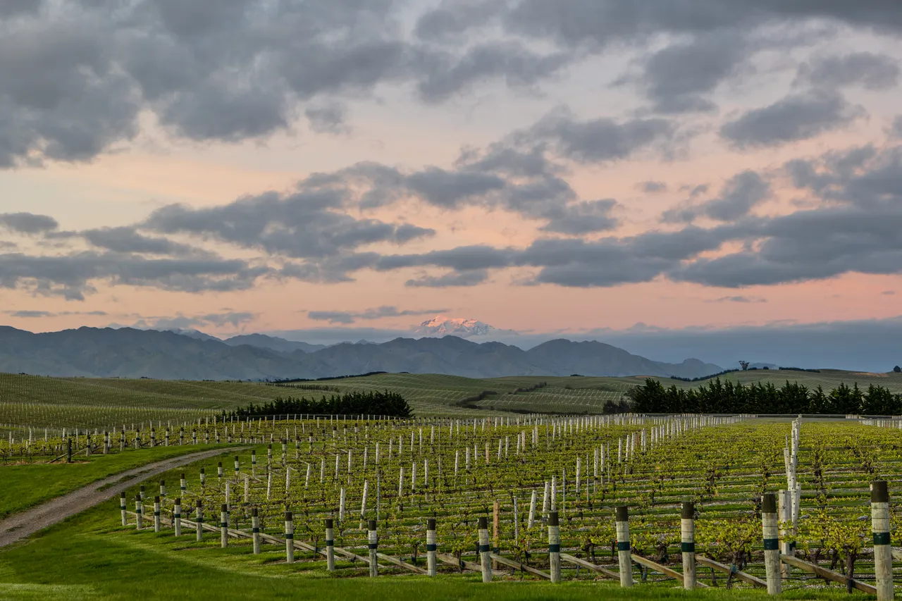 Yealands Estate Winery