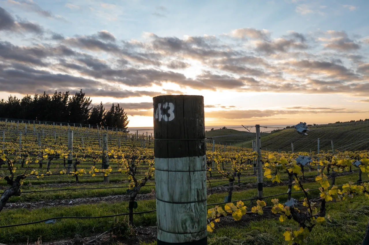 Yealands Estate Winery