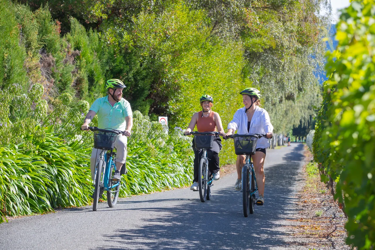 Wine Tours by Bike