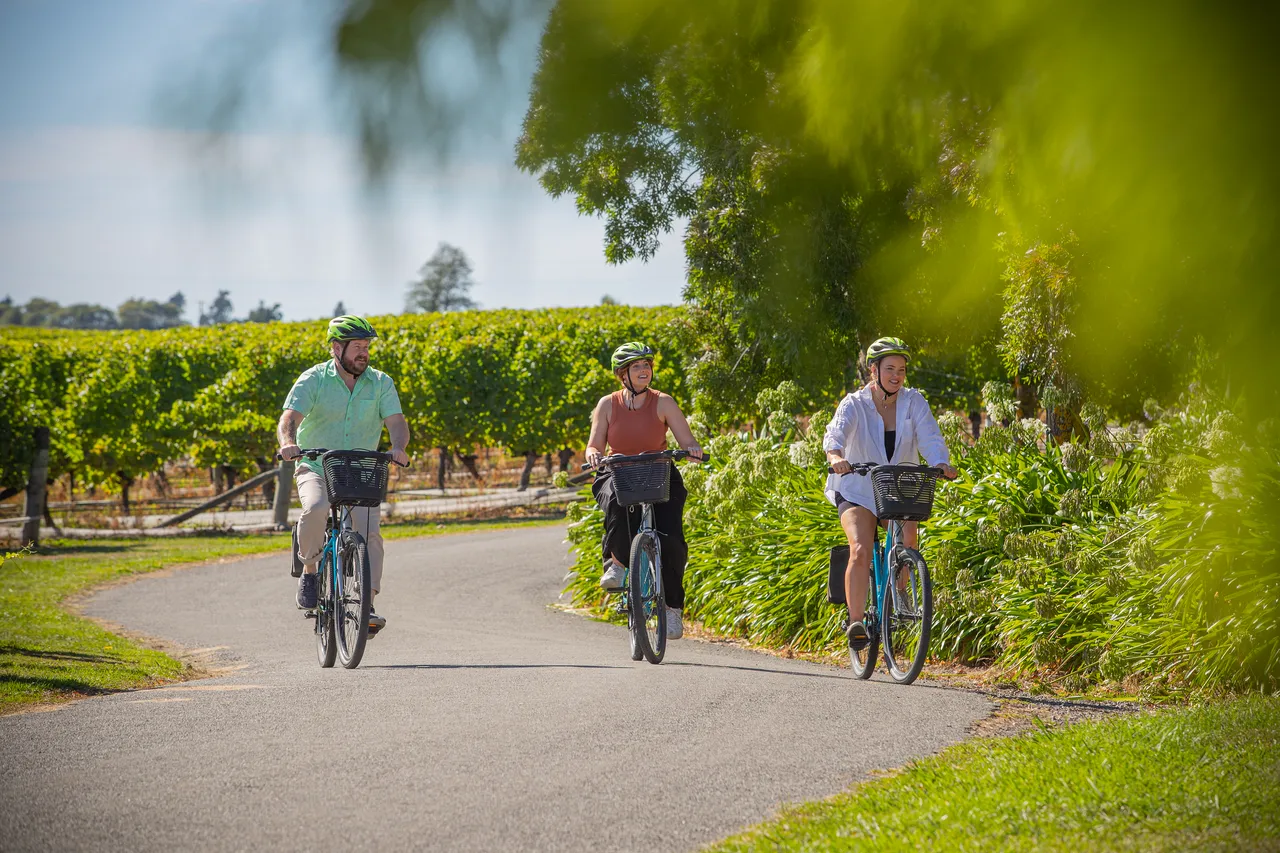 Wine Tours by Bike