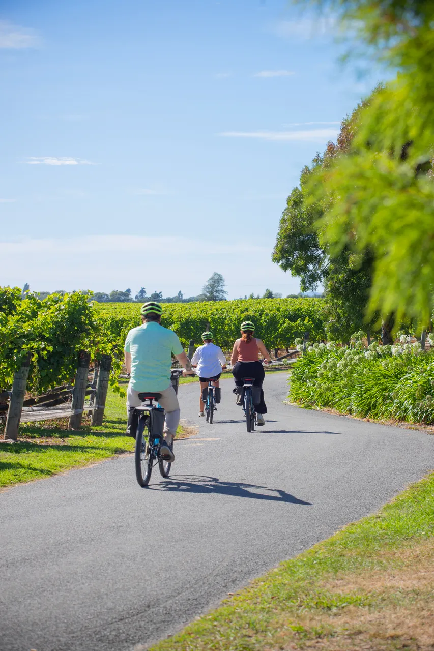 Wine Tours by Bike