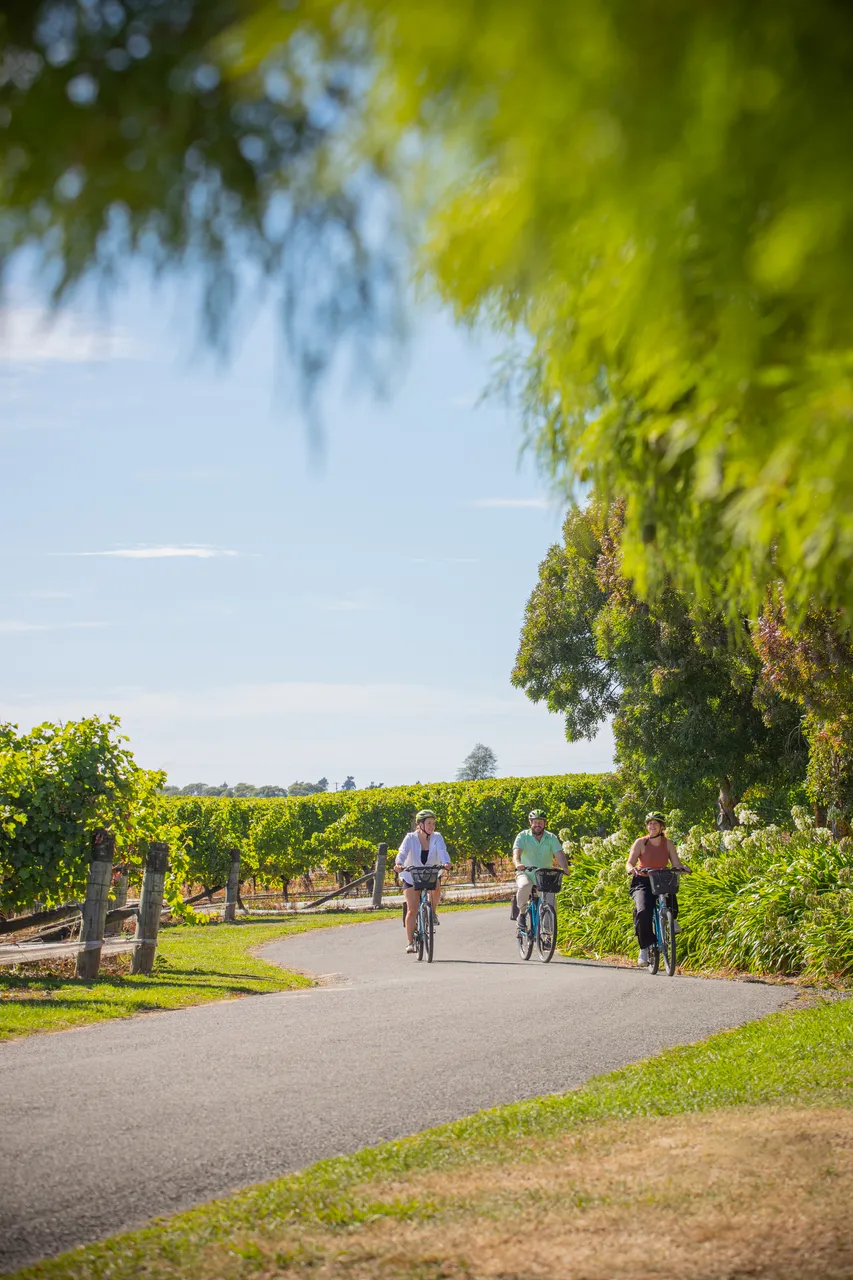 Wine Tours by Bike