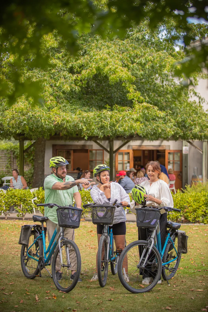 Wine Tours by Bike