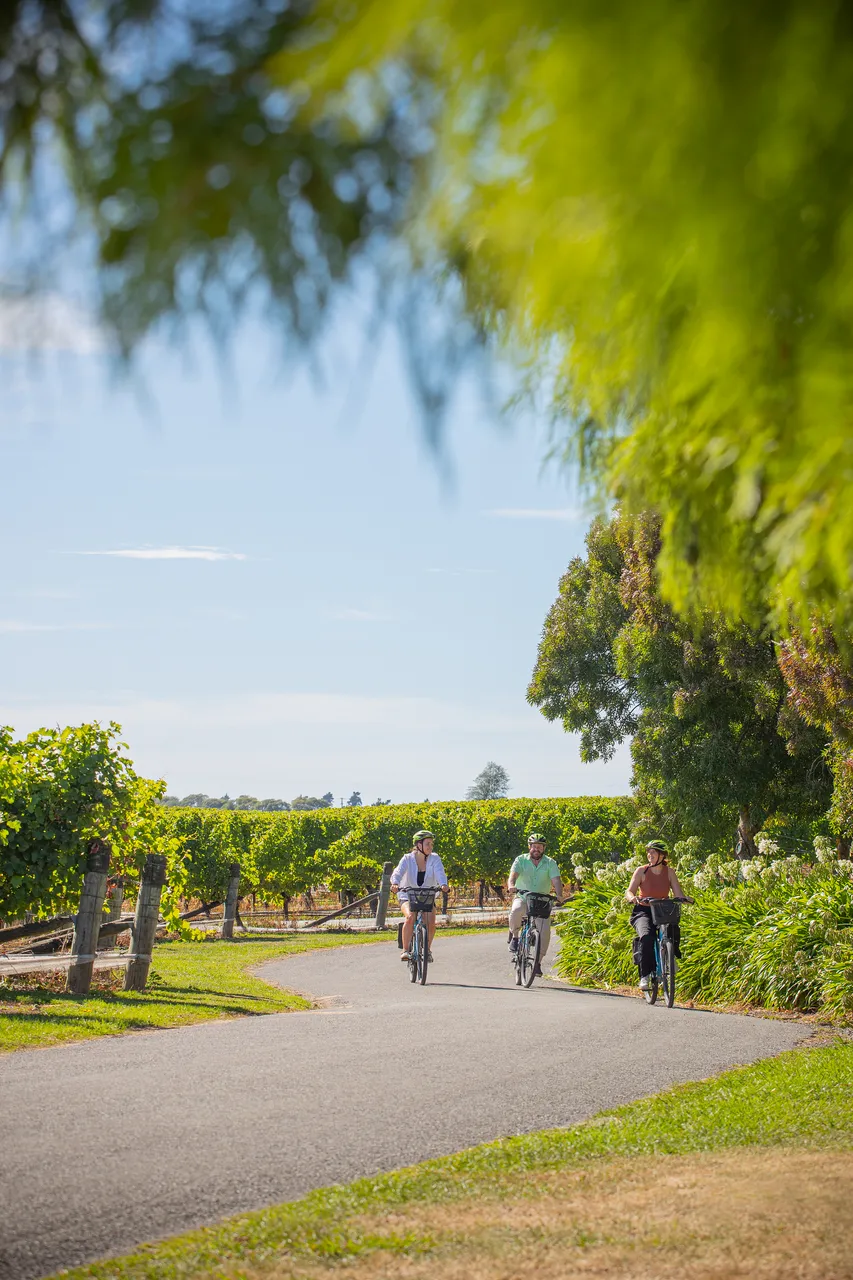 Wine Tours by Bike