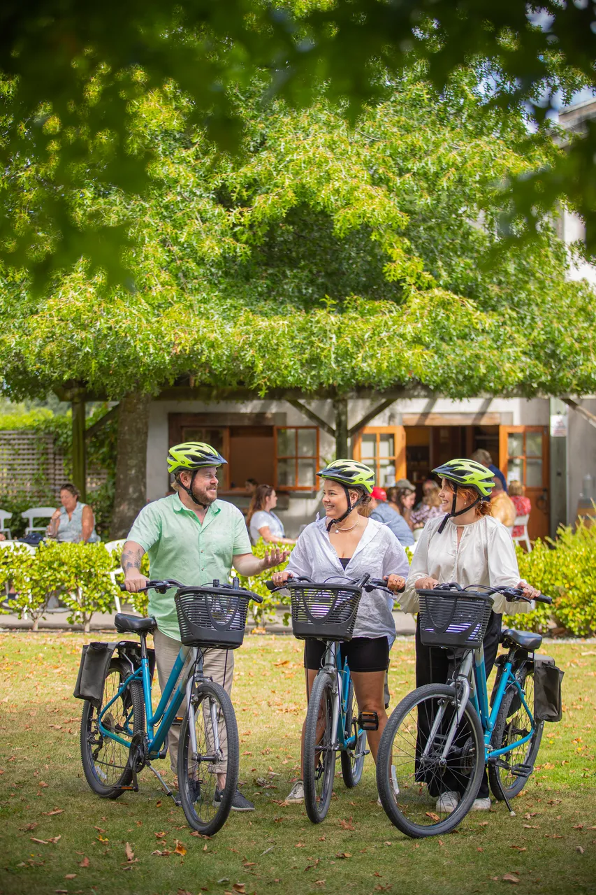 Wine Tours by Bike