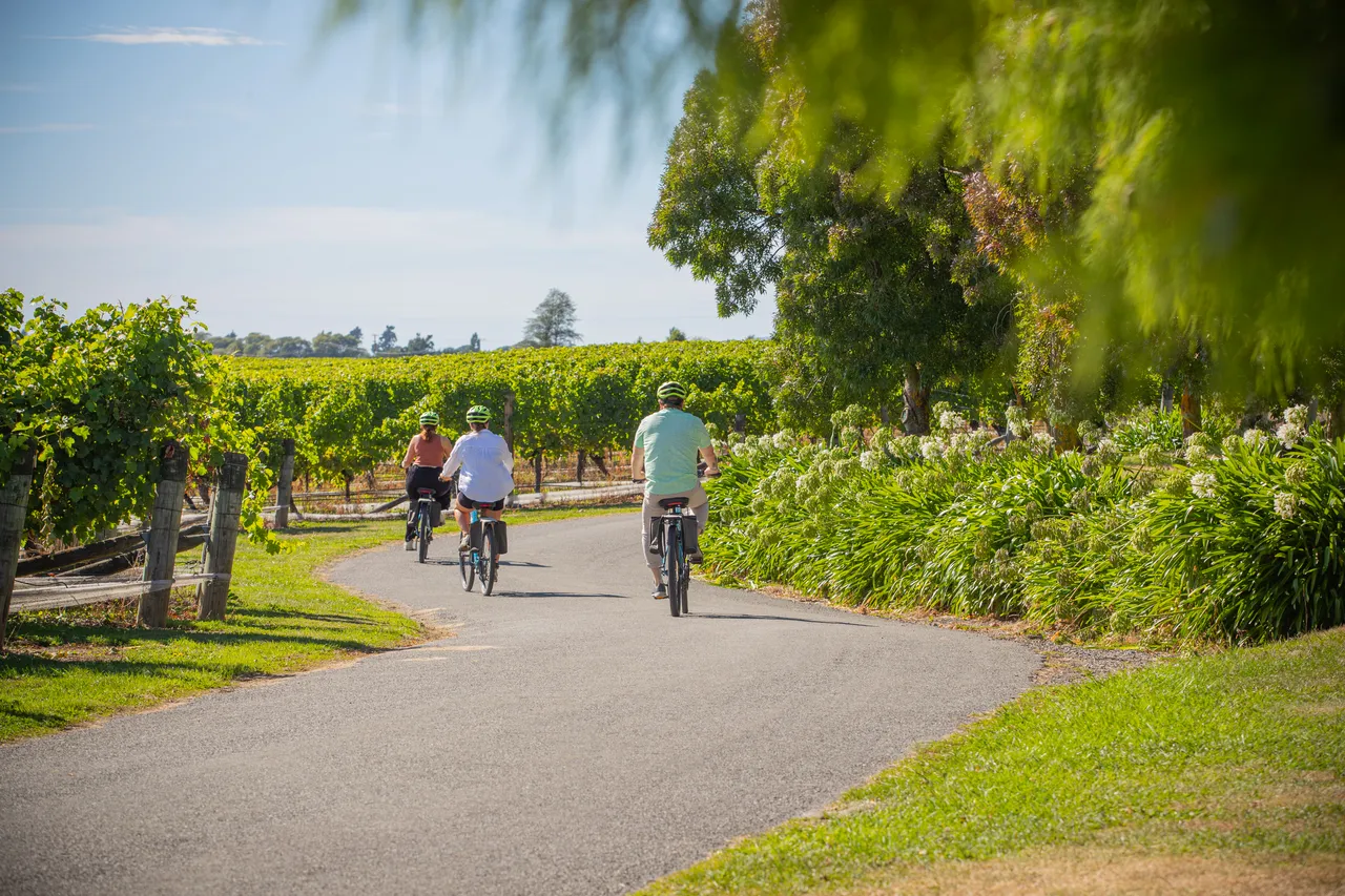 Wine Tours by Bike