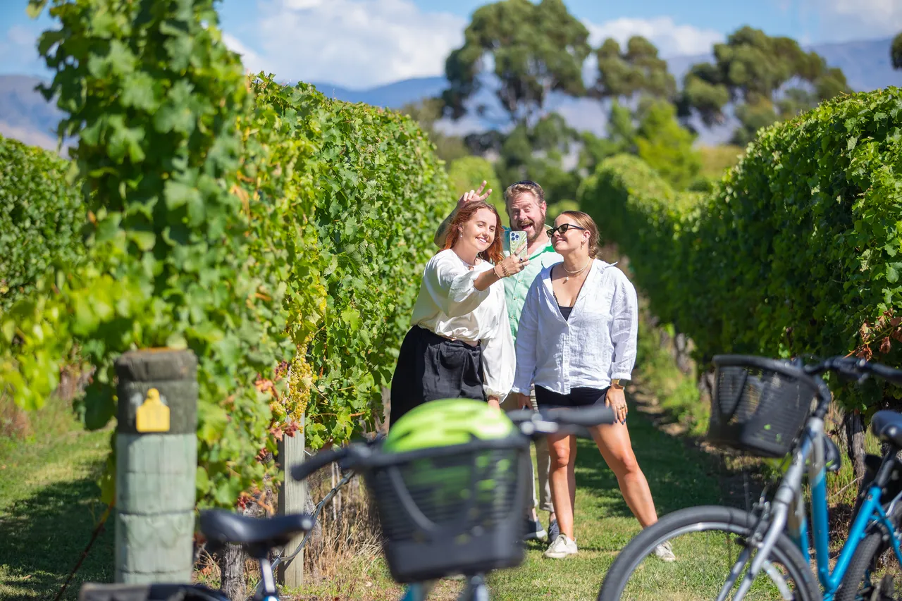 Wine Tours by Bike