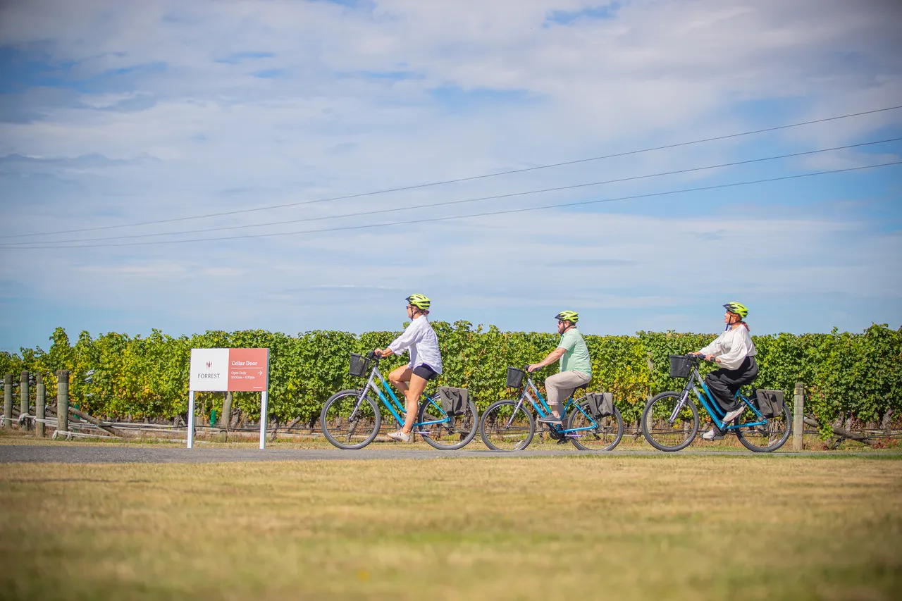 Wine Tours by Bike