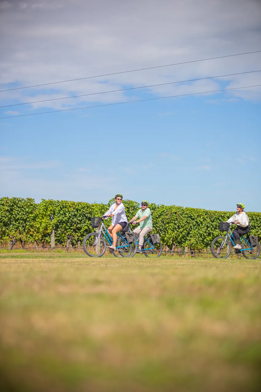 Wine Tours by Bike