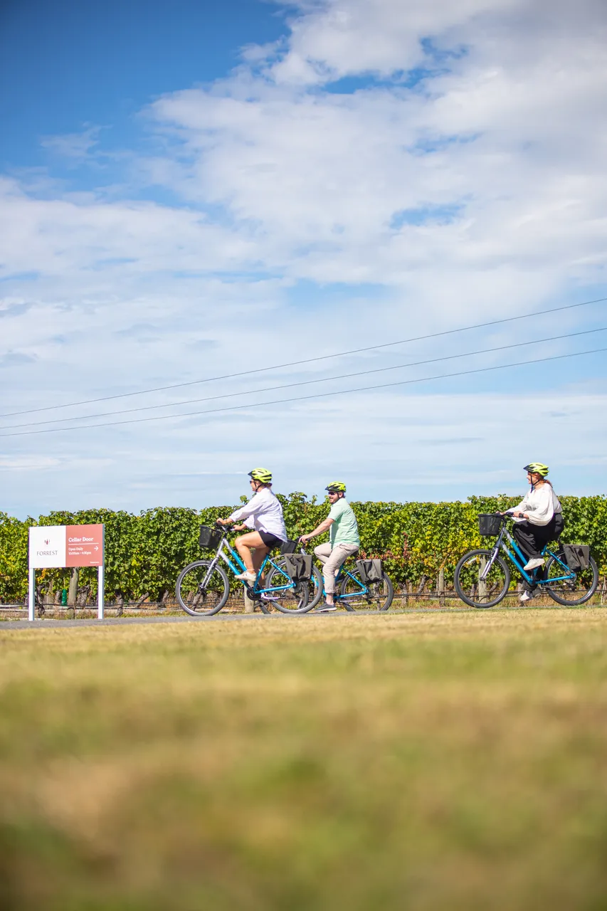 Wine Tours by Bike