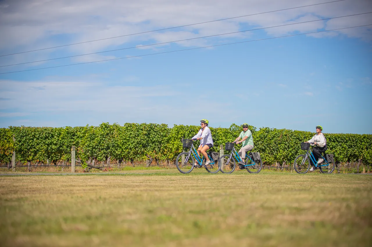 Wine Tours by Bike
