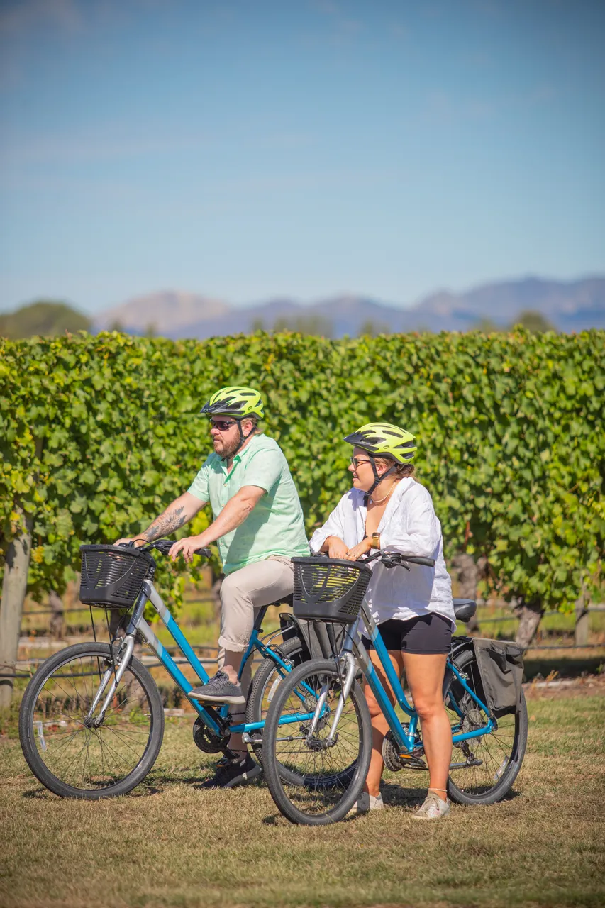 Wine Tours by Bike