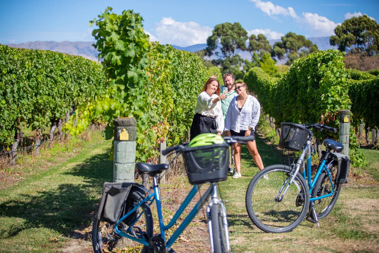 Wine Tours by Bike