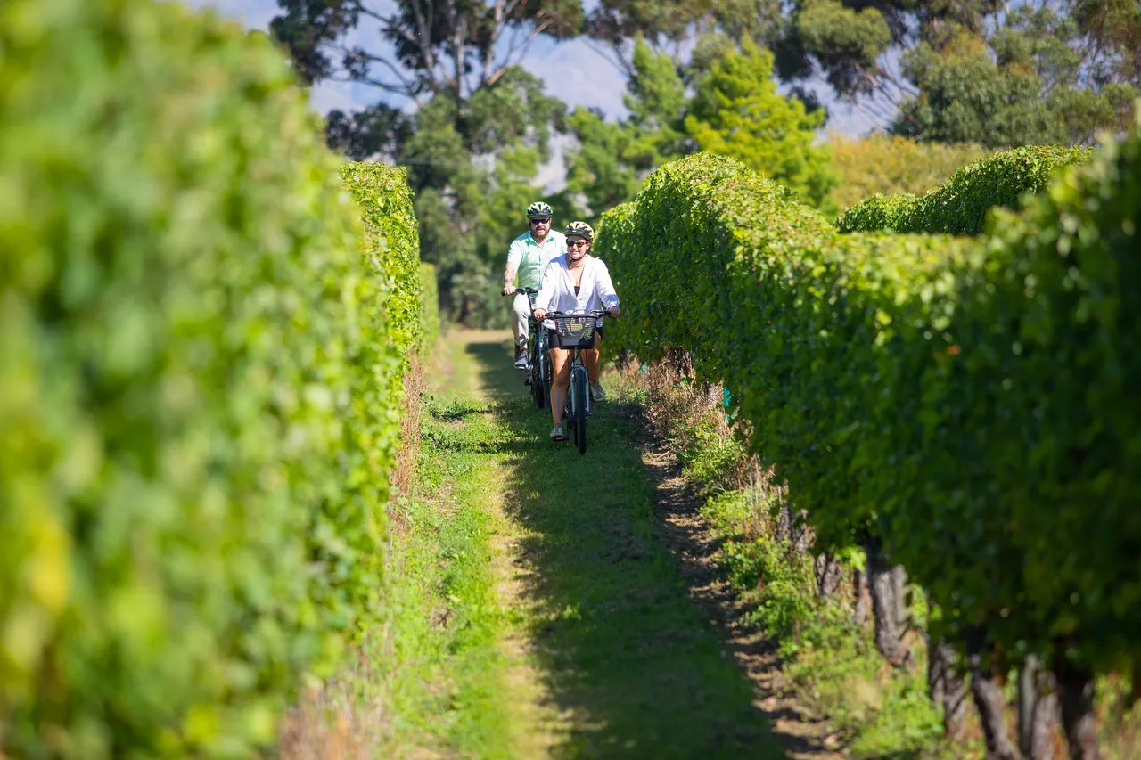 Wine Tours by Bike