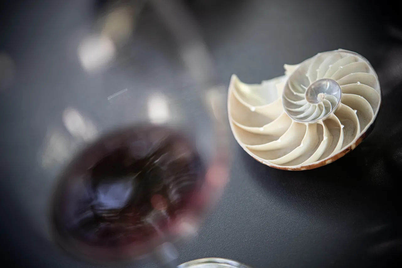 Nautilus Wines