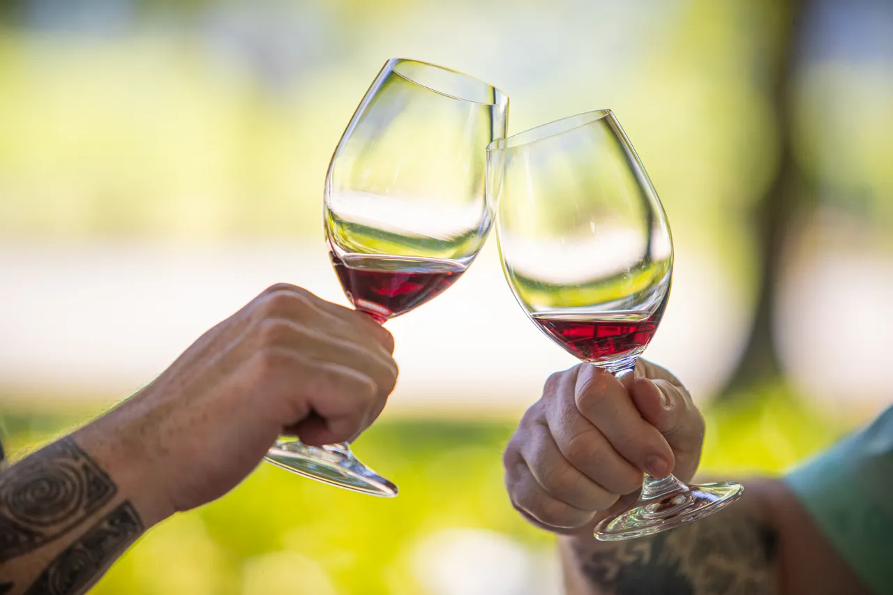 Nautilus Wines