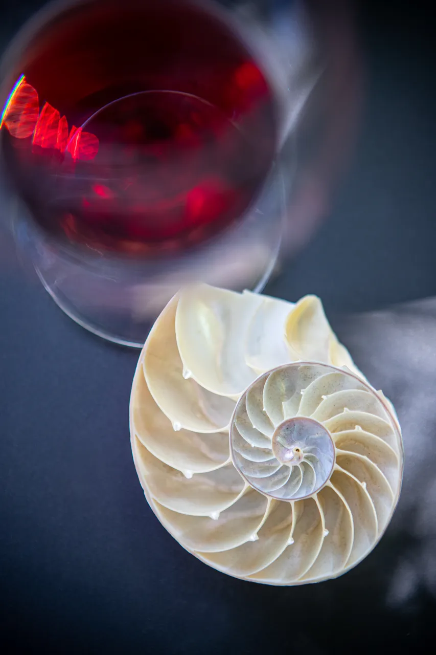 Nautilus Wines