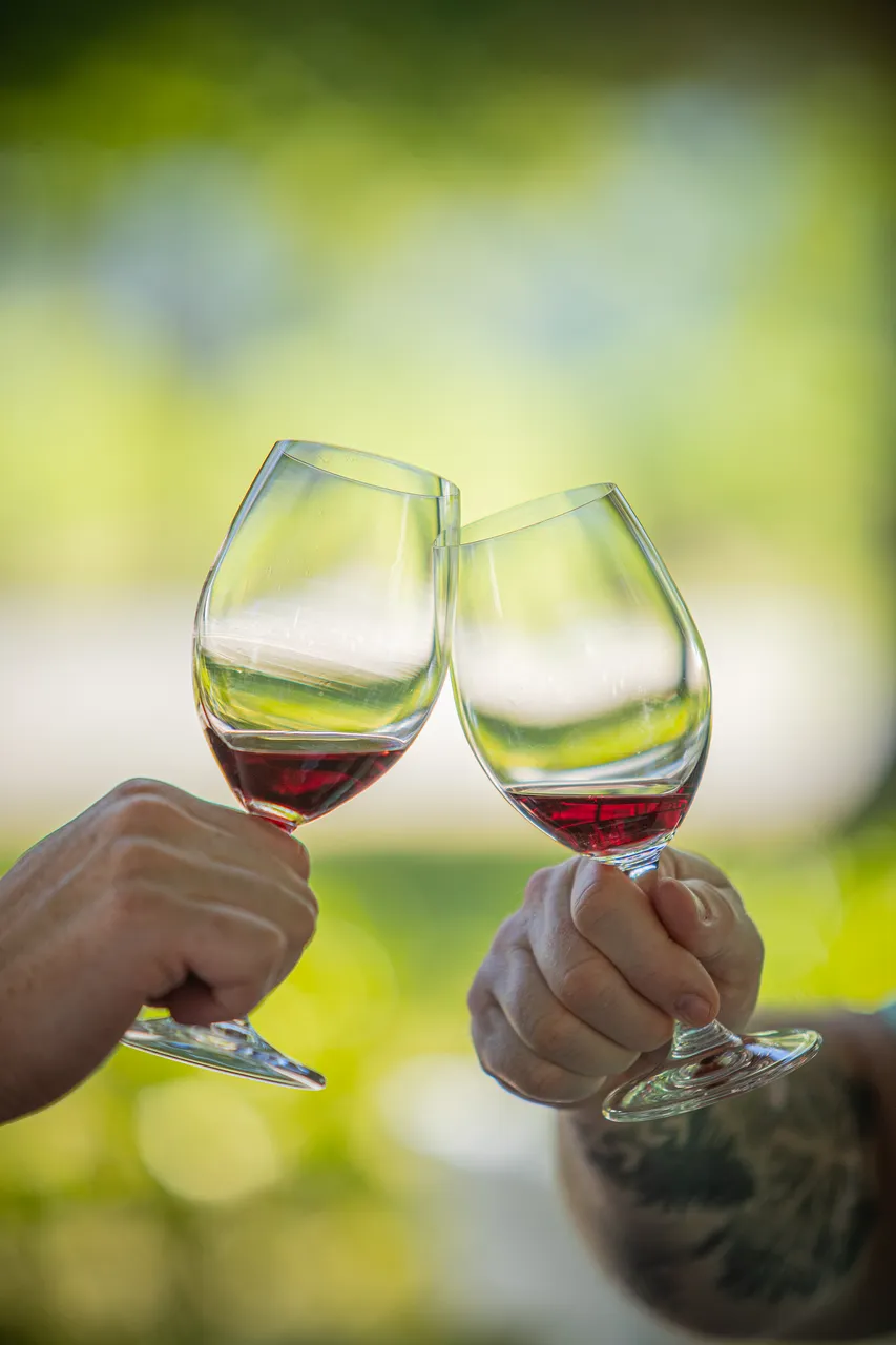 Nautilus Wines