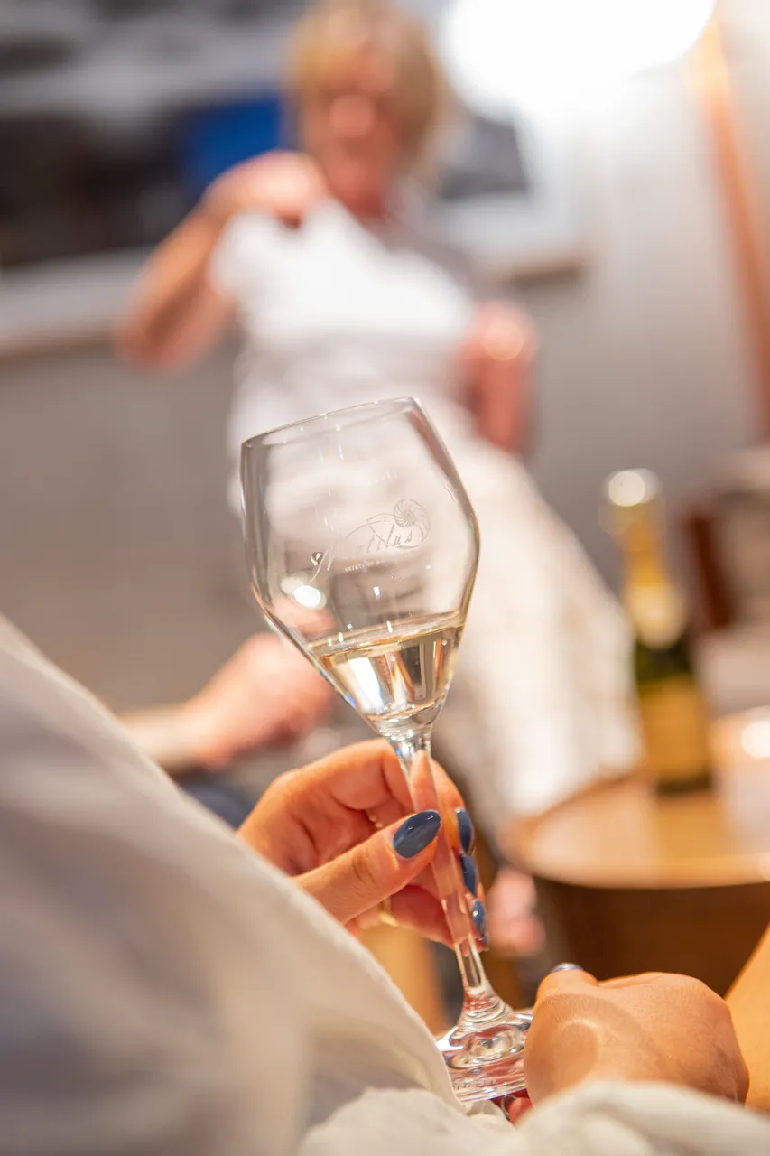 Nautilus Wines