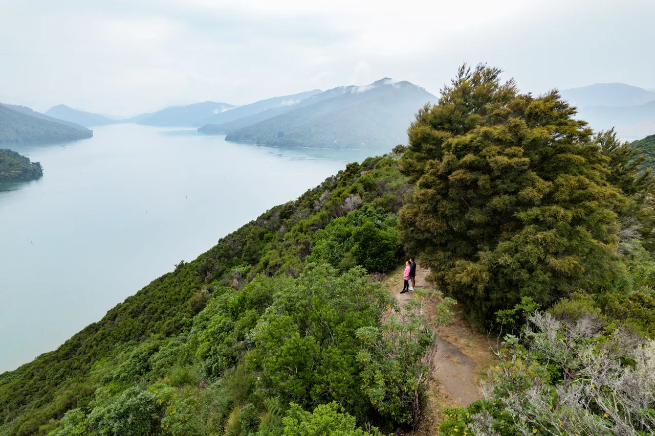 Cullen Point Lookout