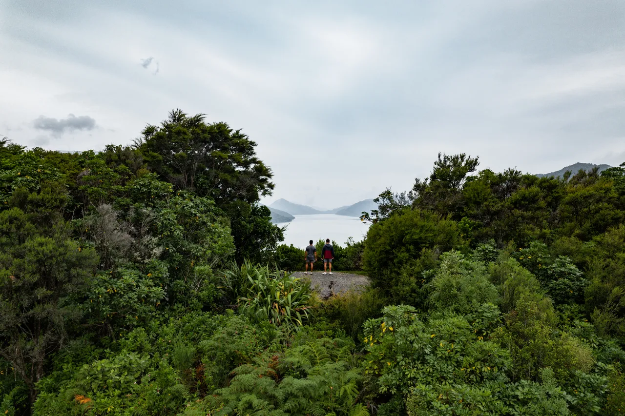 Cullen Point Lookout