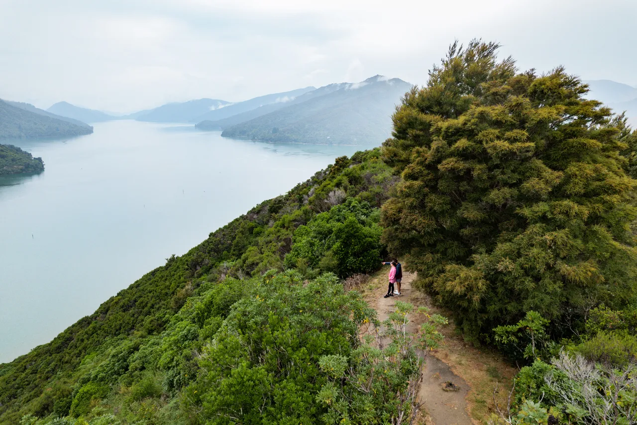 Cullen Point Lookout
