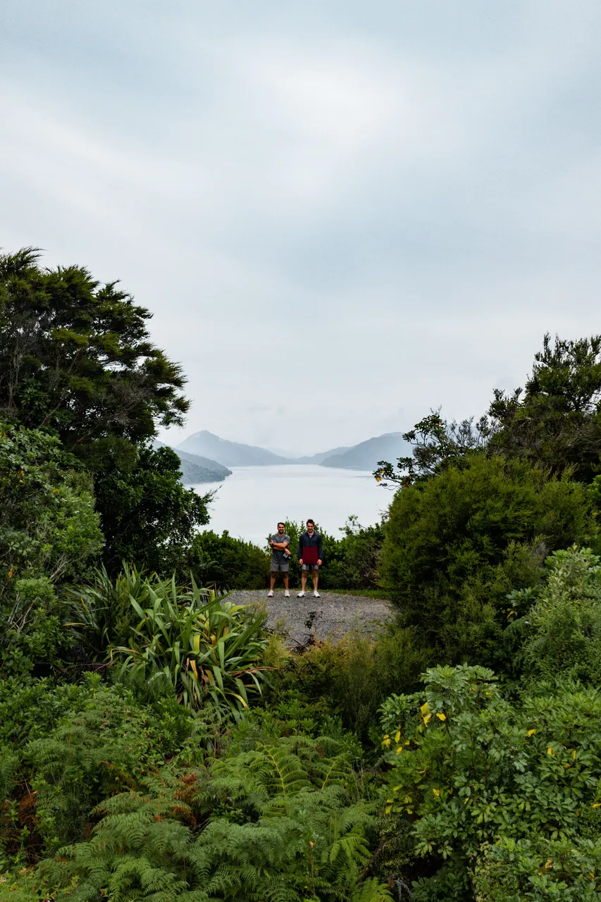 Cullen Point Lookout