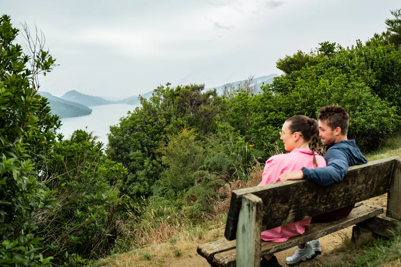Cullen Point Lookout
