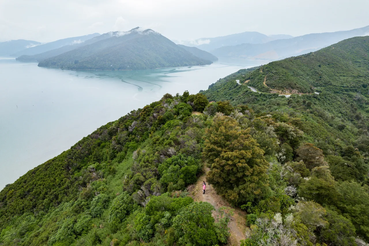 Cullen Point Lookout