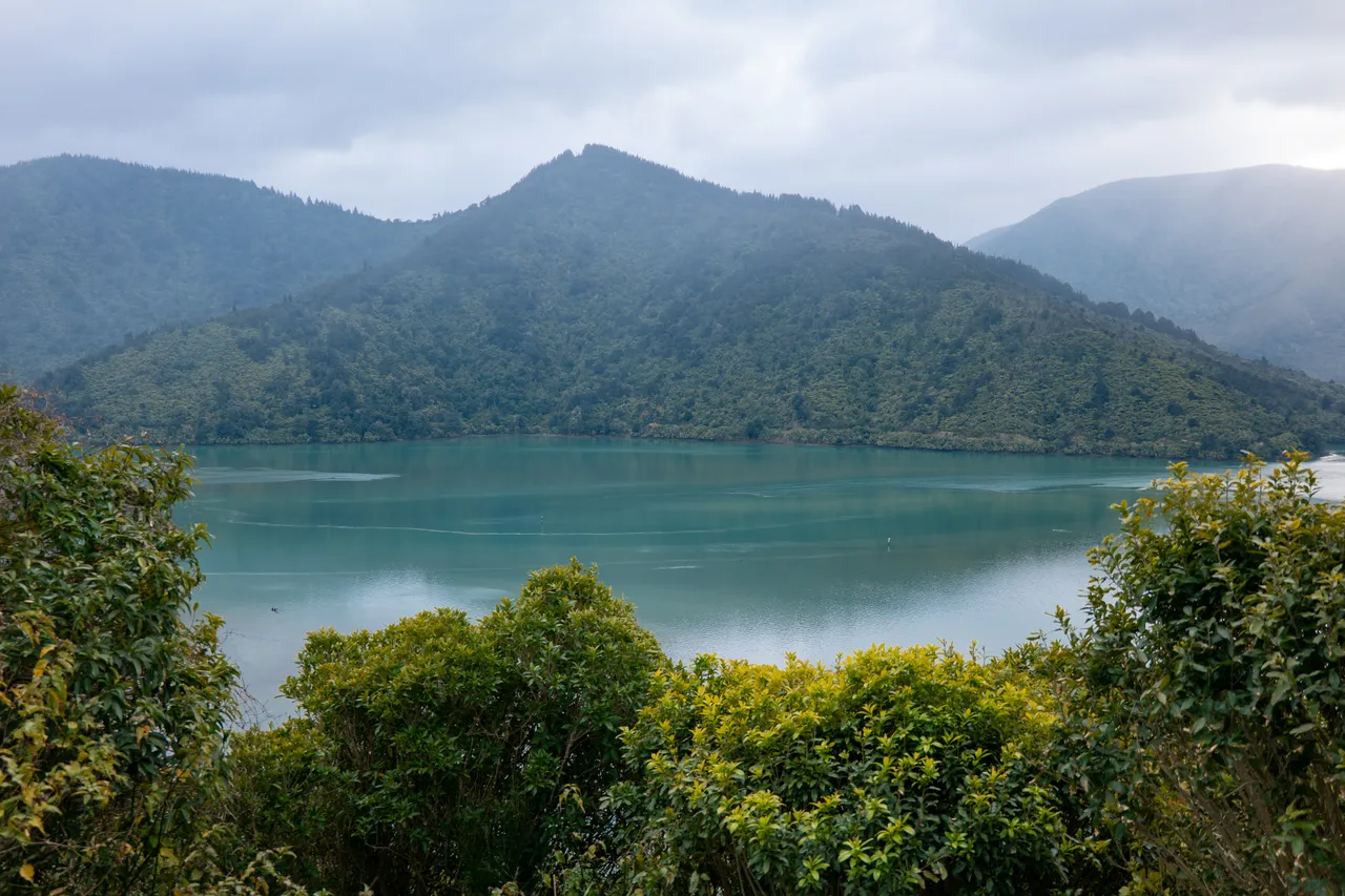 Marlborough Sounds - Finding Alexx
