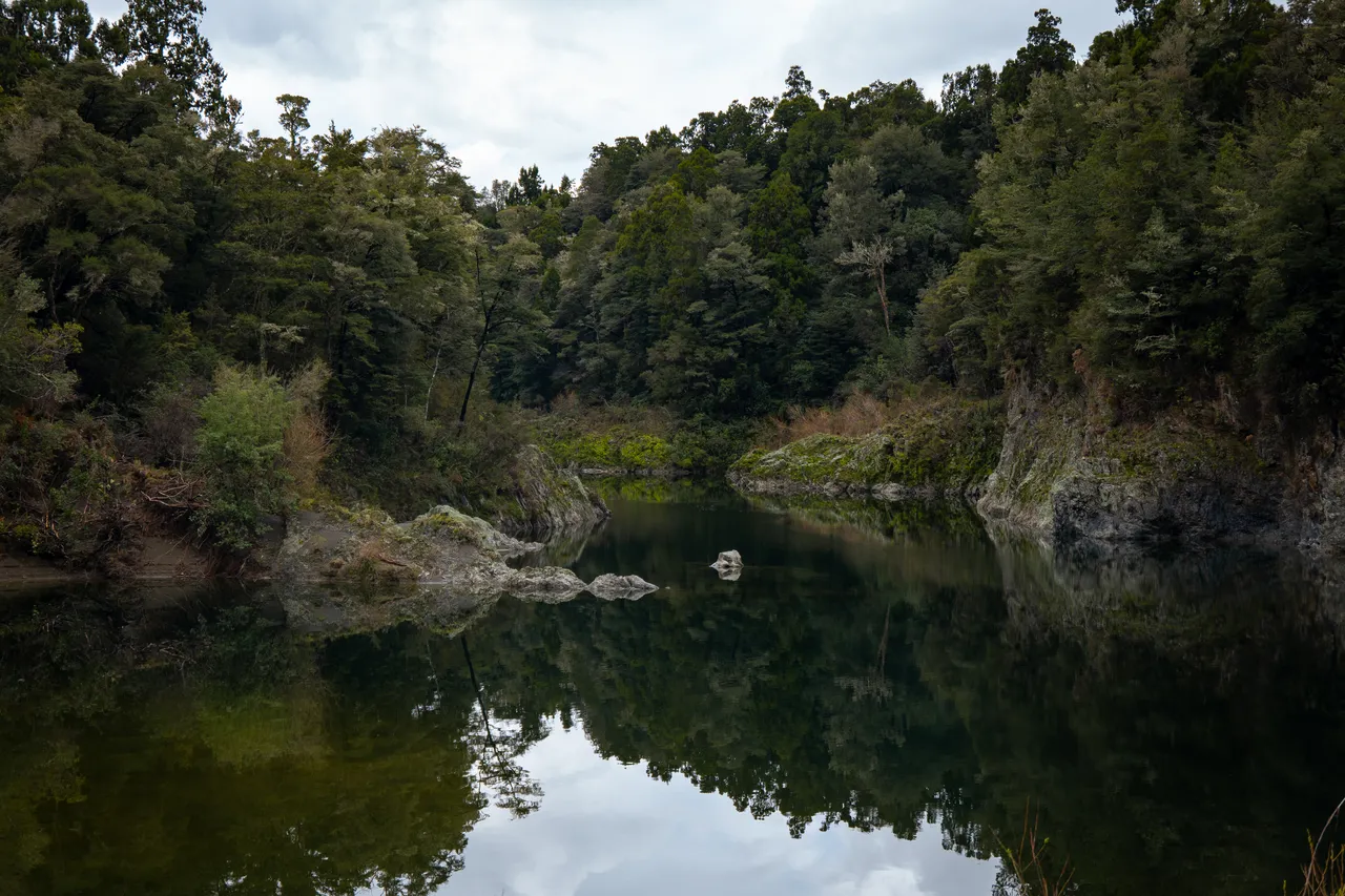 Marlborough Sounds - Finding Alexx