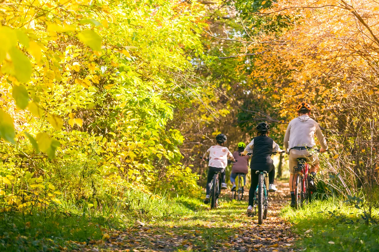 Taylor Dam Family Bike Autumn